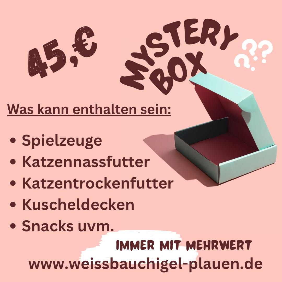 Mystery-Box 45,- €